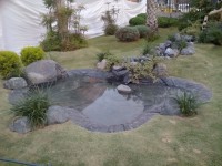 /album/fotogaleria-inicio/img-20150119-063958-jpg1/